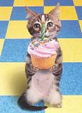 funny_birthday-1.jpg
